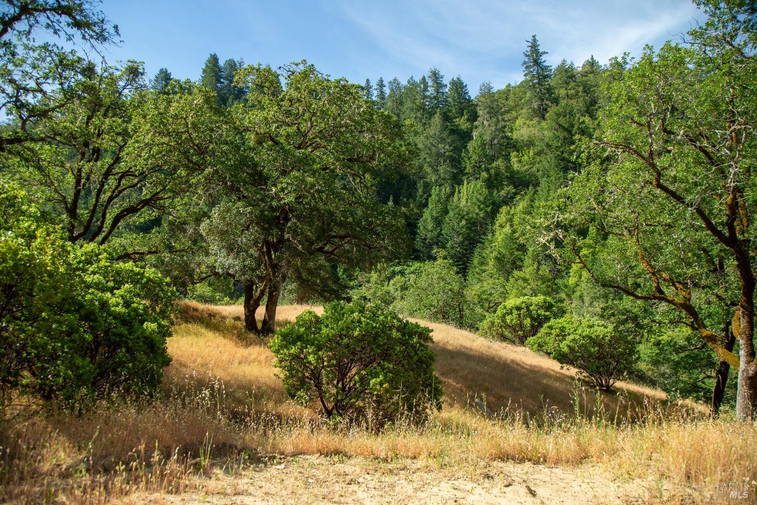 23 Wickersham Ranch Road Geyserville, CA 95441 - Photo 18 of 26