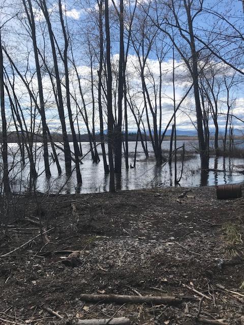 0 Carter Hill Road Fryeburg, ME 04037 - Photo 35 of 35 carter40