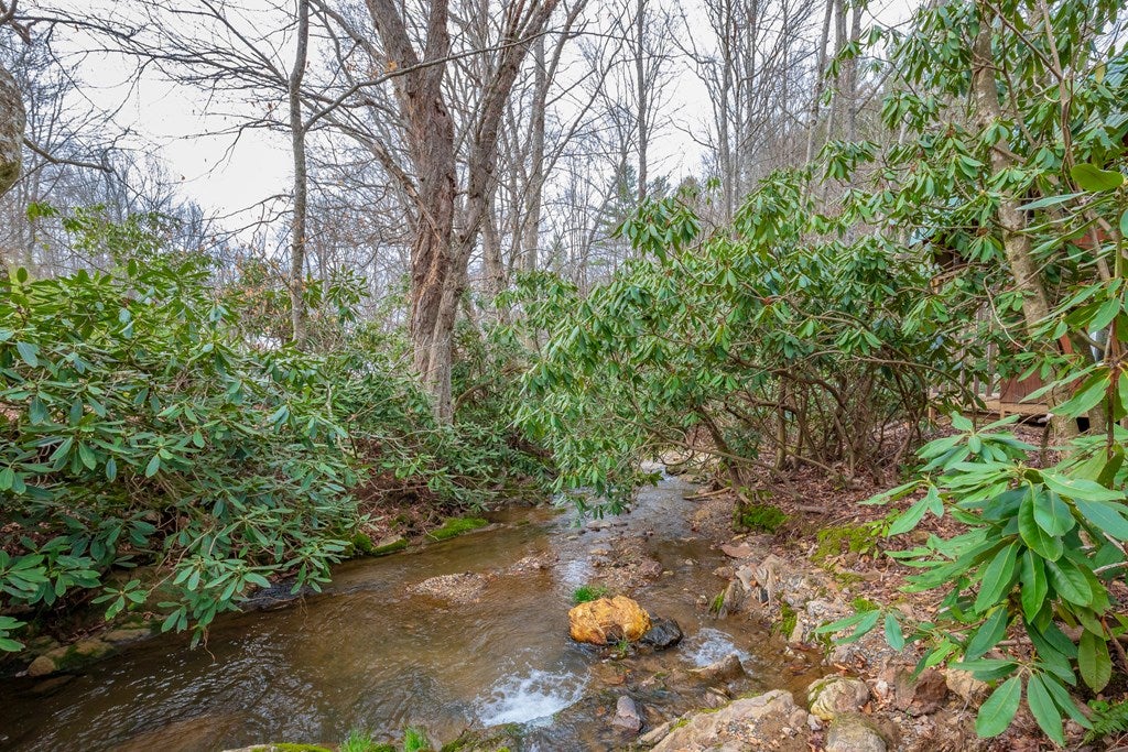 3-acres Winding Ridge Road, Unit 14C Hillsville, VA 24343 - Photo 16 of 35 Gallery Image 16