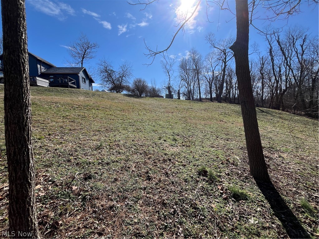 12972 Gilmore Road Southeast Port Washington, OH 43837 - Photo 50 of 50 View of yard