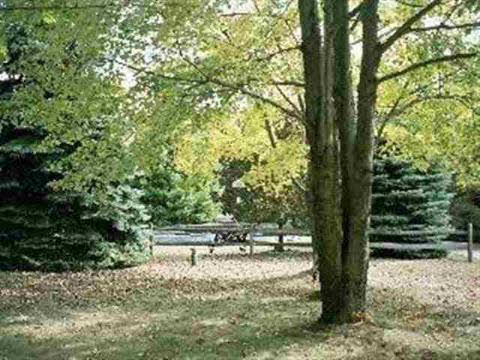 3395 West Temperance Road Lambertville, MI 48144 - Photo 12 of 12 839521-11.JPG