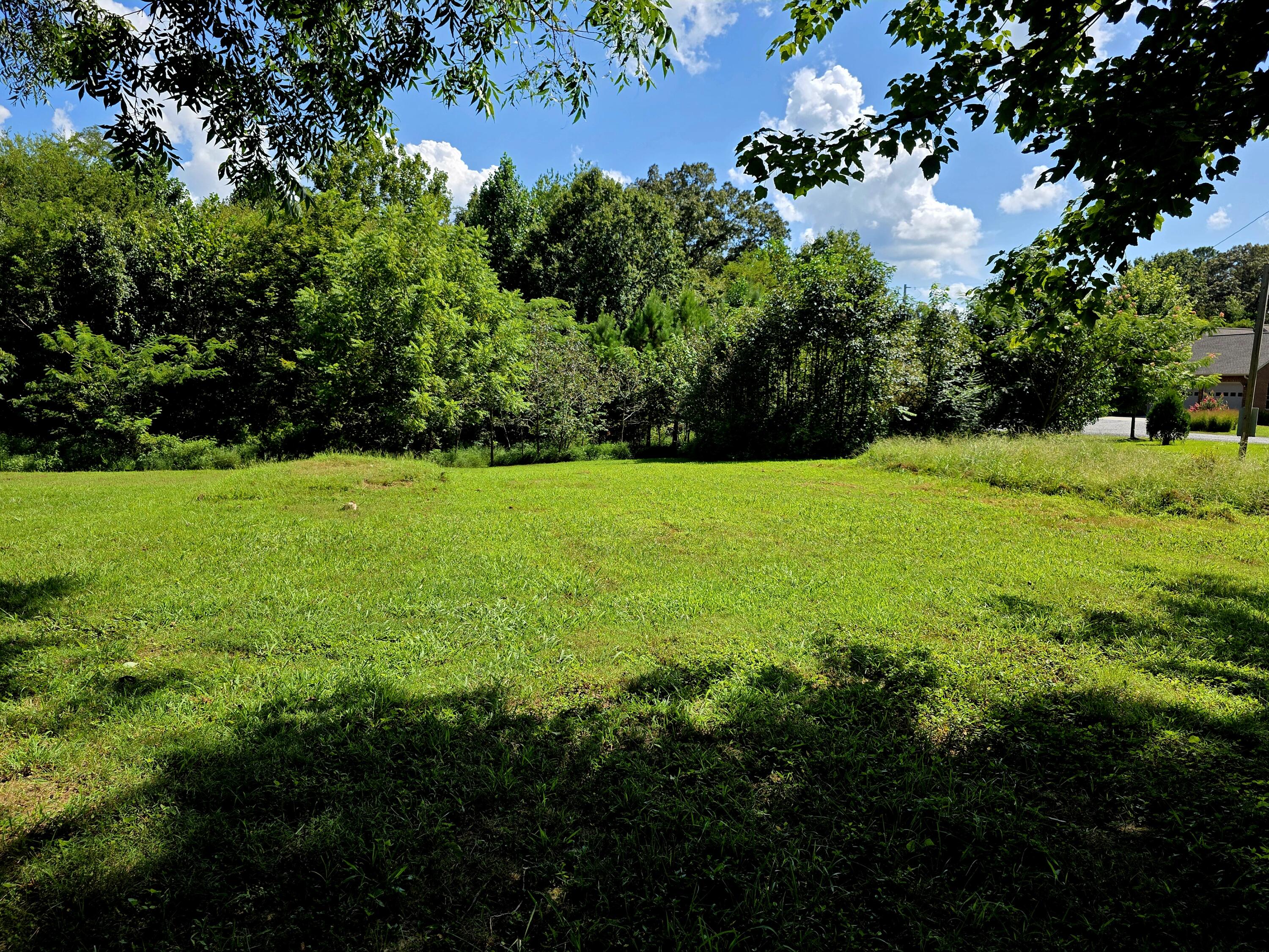 2537 Old Newburg Road Murray, KY 42071 - Photo 8 of 40 20250812_150730