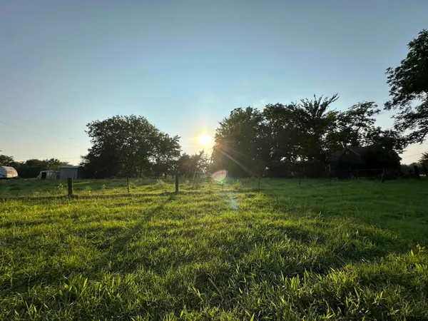a view of a field of grass and trees