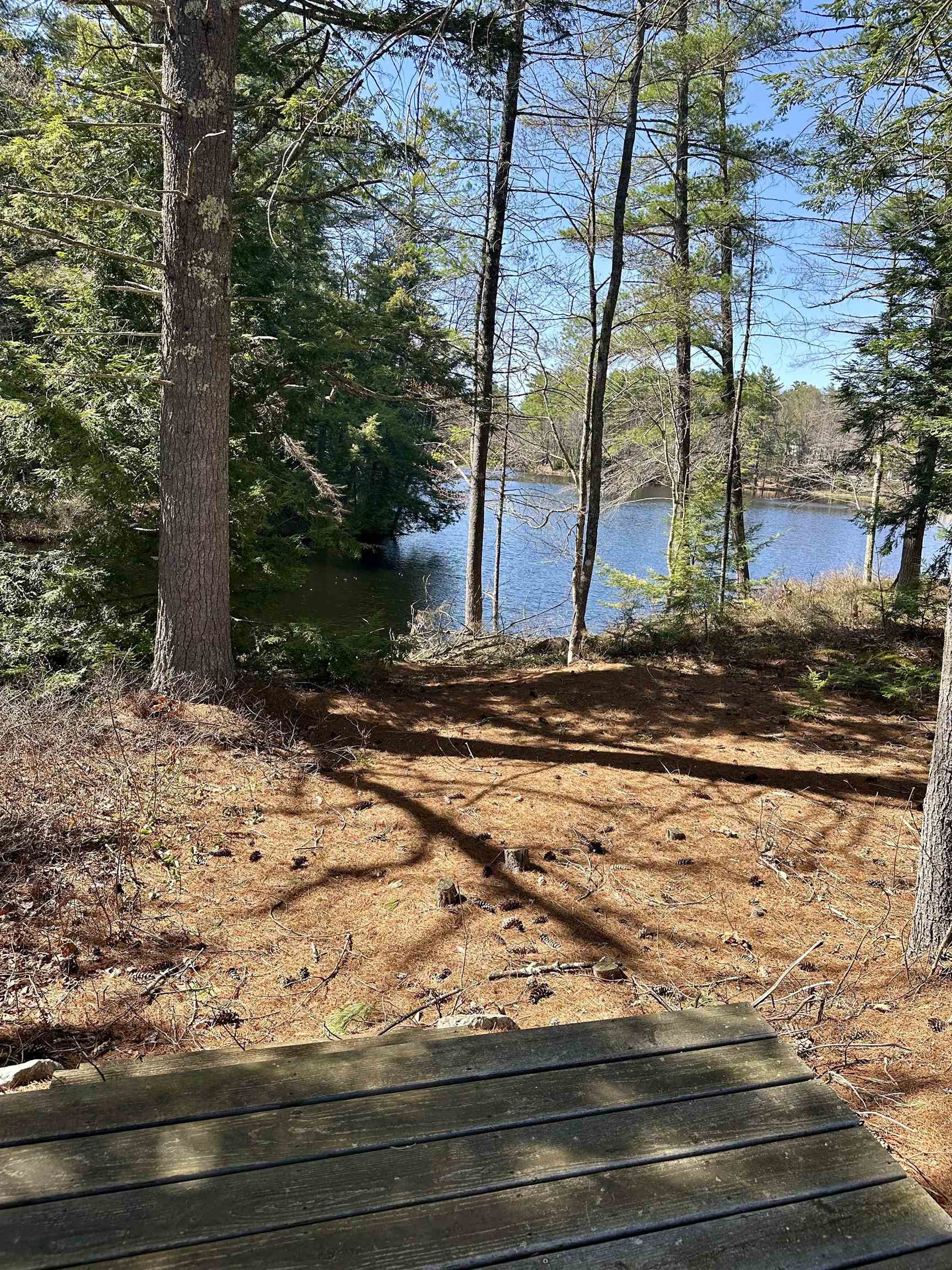 140 Fox Trot Loop Alton, NH 03809 - Photo 22 of 25