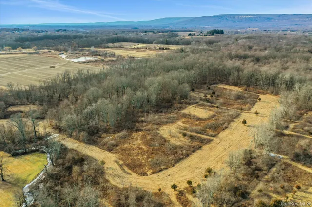 a view of a lake with a mountain