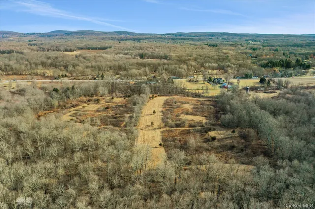 a view of city and mountain