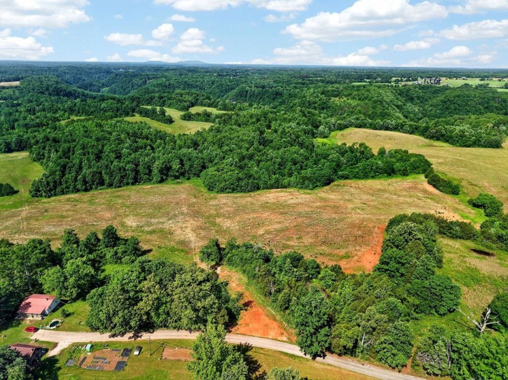 0 Massa Road Baxter, TN 38544 - Photo 3 of 22