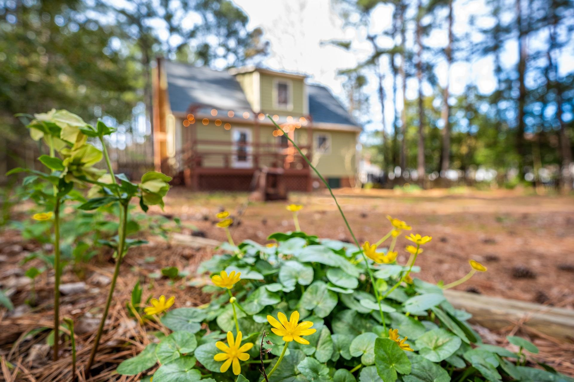 701 Bluestone Road Durham, NC 27713 - Photo 47 of 50 Photo 47