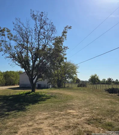 a view of a yard with a tree
