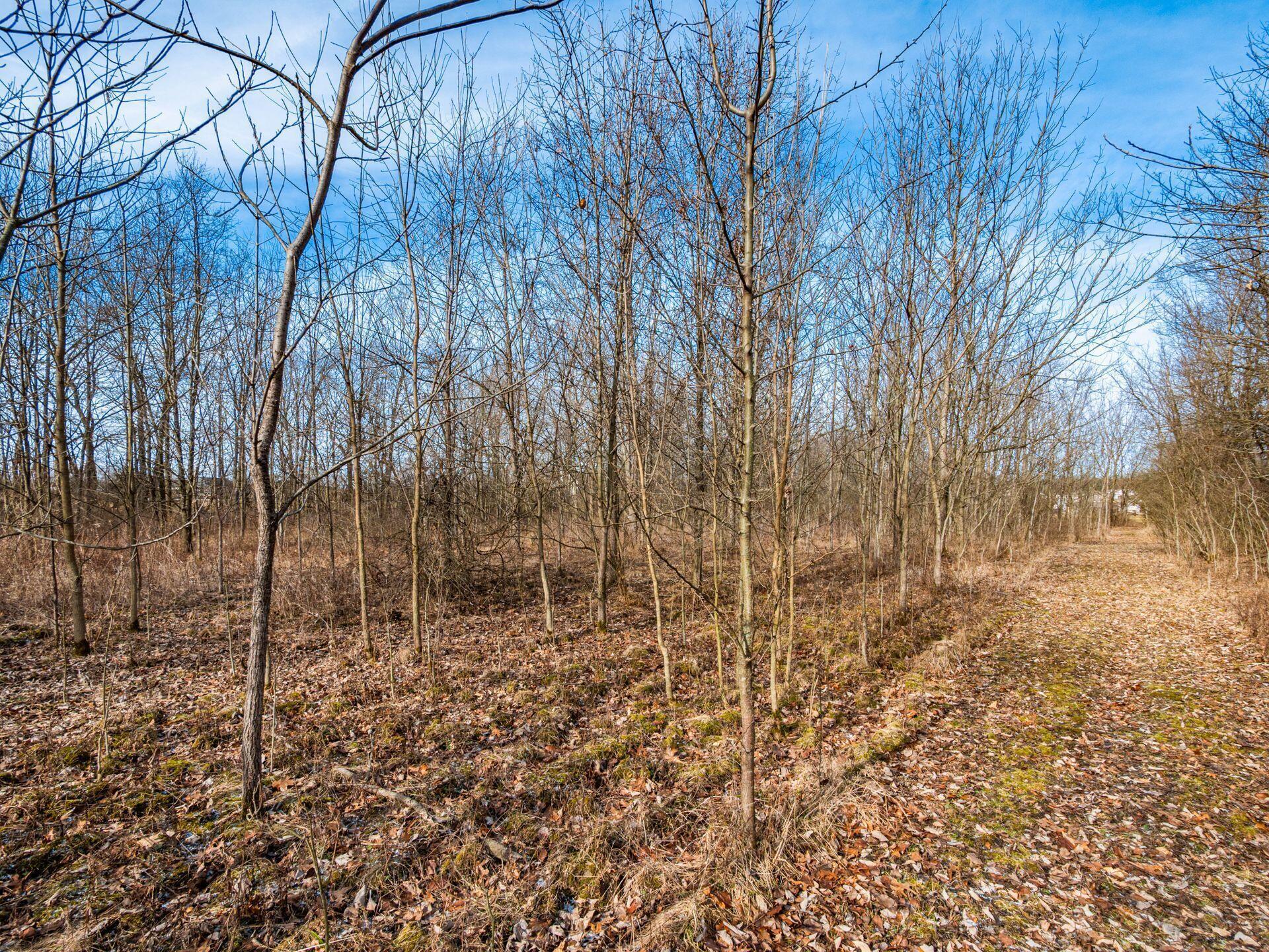0 Roberts Road Hilliard, OH 43026 - Photo 29 of 46 0 Roberts Rd. 4.89 acres
