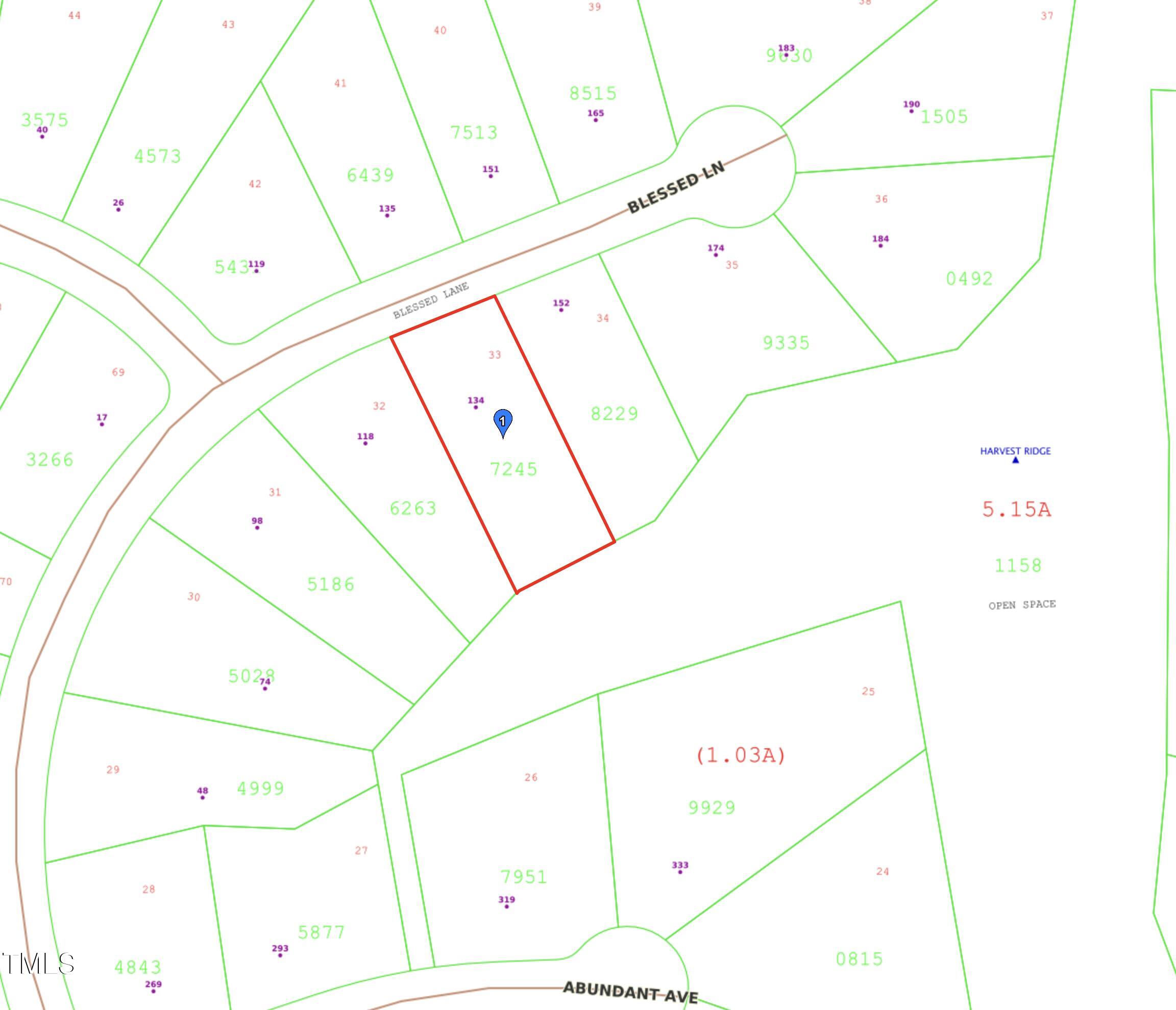 134 Blessed Lane Angier, NC 27501 - Photo 39 of 41