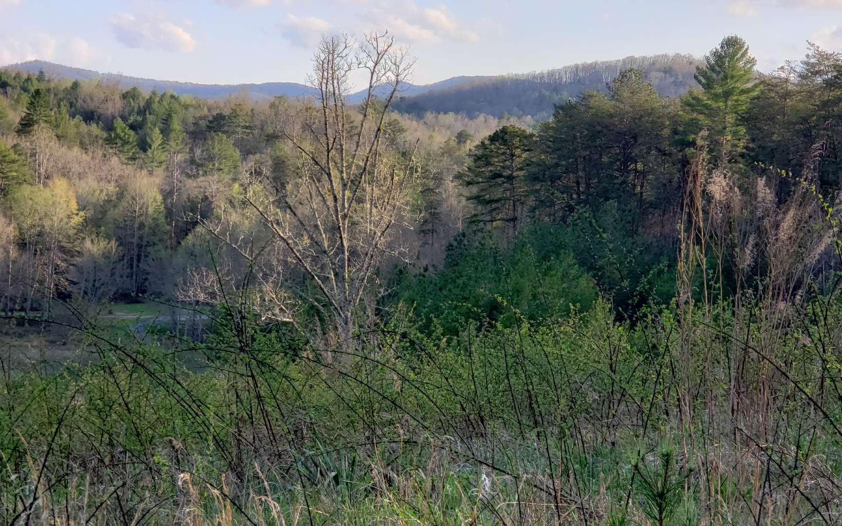 690 Deer Watch Lane Blue Ridge, GA 30513 - Photo 1 of 4 a view of a city with lush green forest