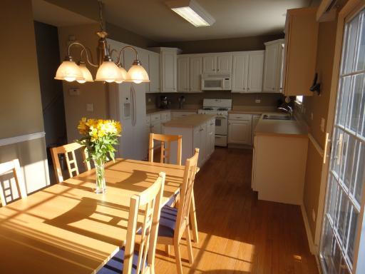 520 Declaration Lane Aurora, IL 60502 - Photo 5 of 16