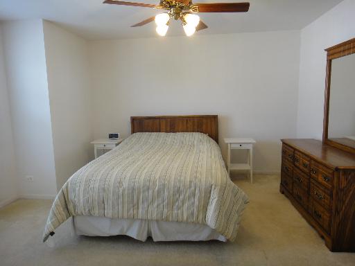 520 Declaration Lane Aurora, IL 60502 - Photo 9 of 16
