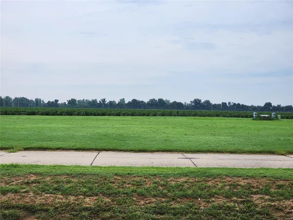 $15,000 | 809 Bollweevil Boulevard, Sikeston, MO 63801