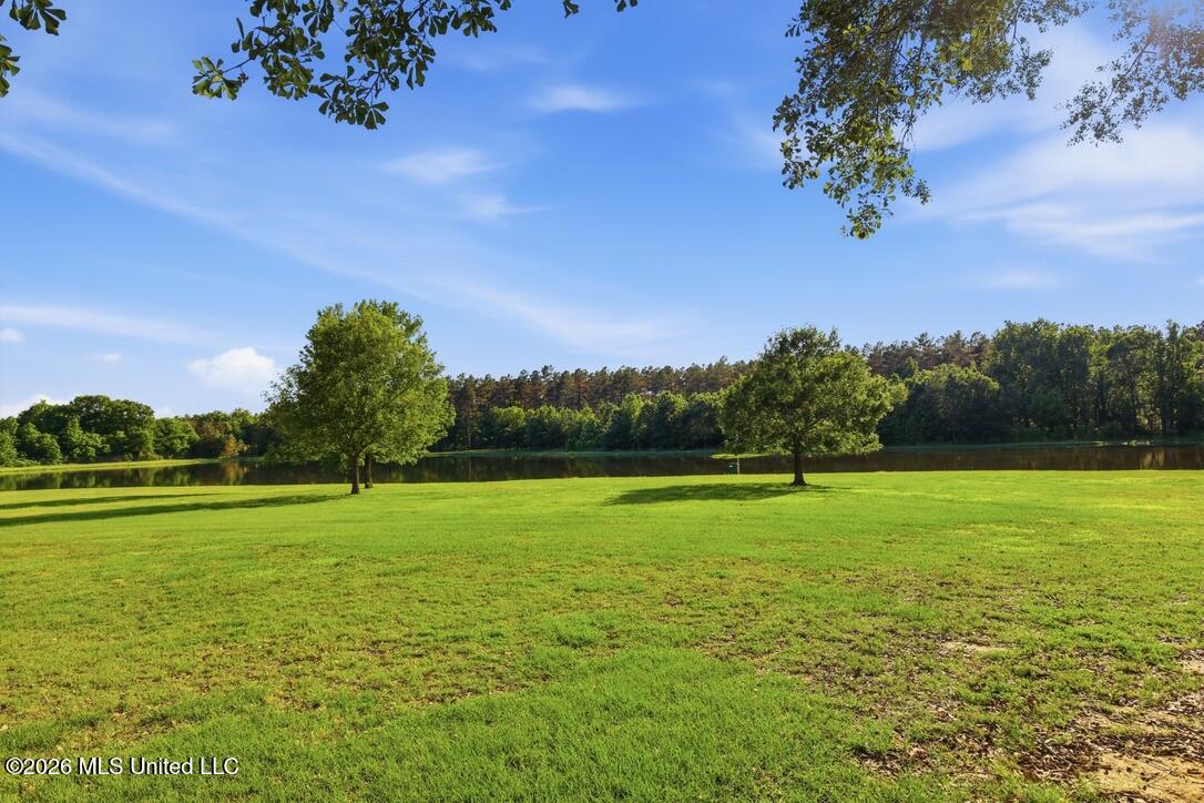 425 Rose Hill Road Bentonia, MS 39040 - Photo 115 of 150 3B63C8B2-8579-44C5-BA22-F797879D9E41_1_1