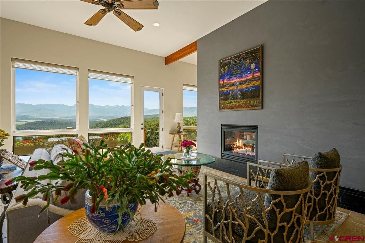 555 Waterview Lane Ridgway, CO 81432 - Photo 5 of 44 a living room with furniture a potted plant and a fireplace