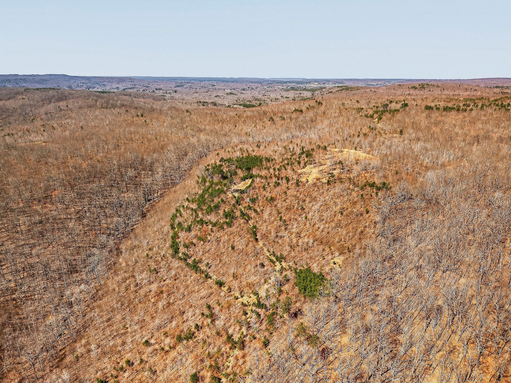 253 Daus Mountain Road Palmer, TN 37365 - Photo 1 of 72 a view of an ocean