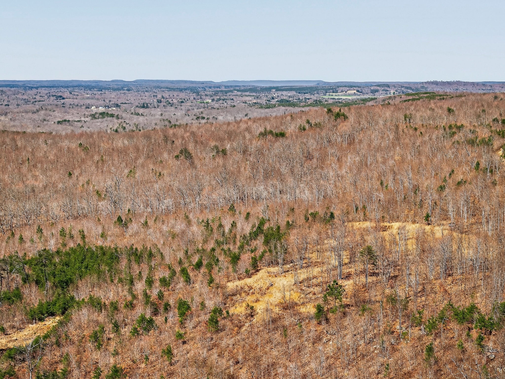 253 Daus Mountain Road Palmer, TN 37365 - Photo 16 of 72