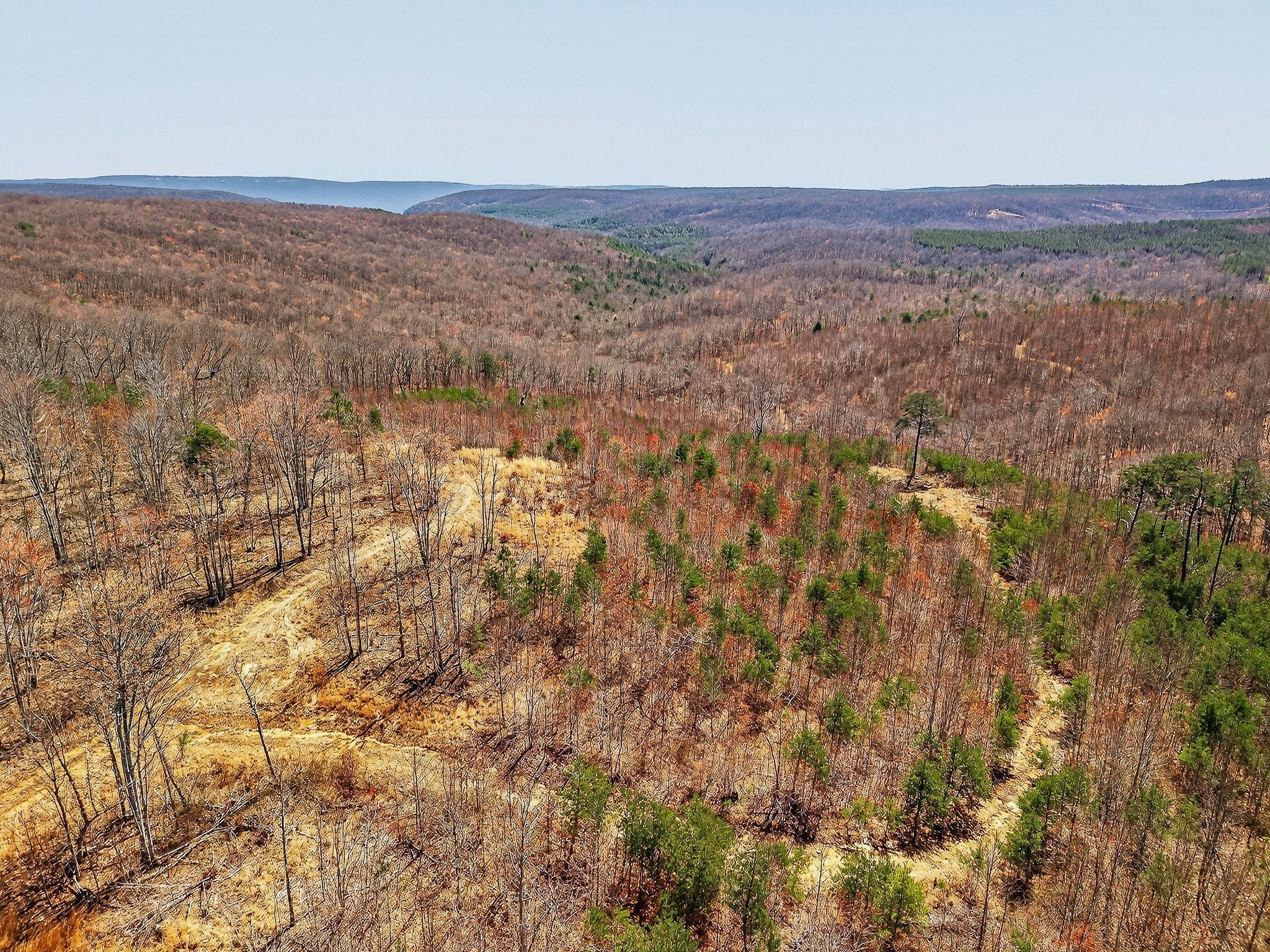 253 Daus Mountain Road Palmer, TN 37365 - Photo 17 of 72 a view of an outdoor space and a lake view