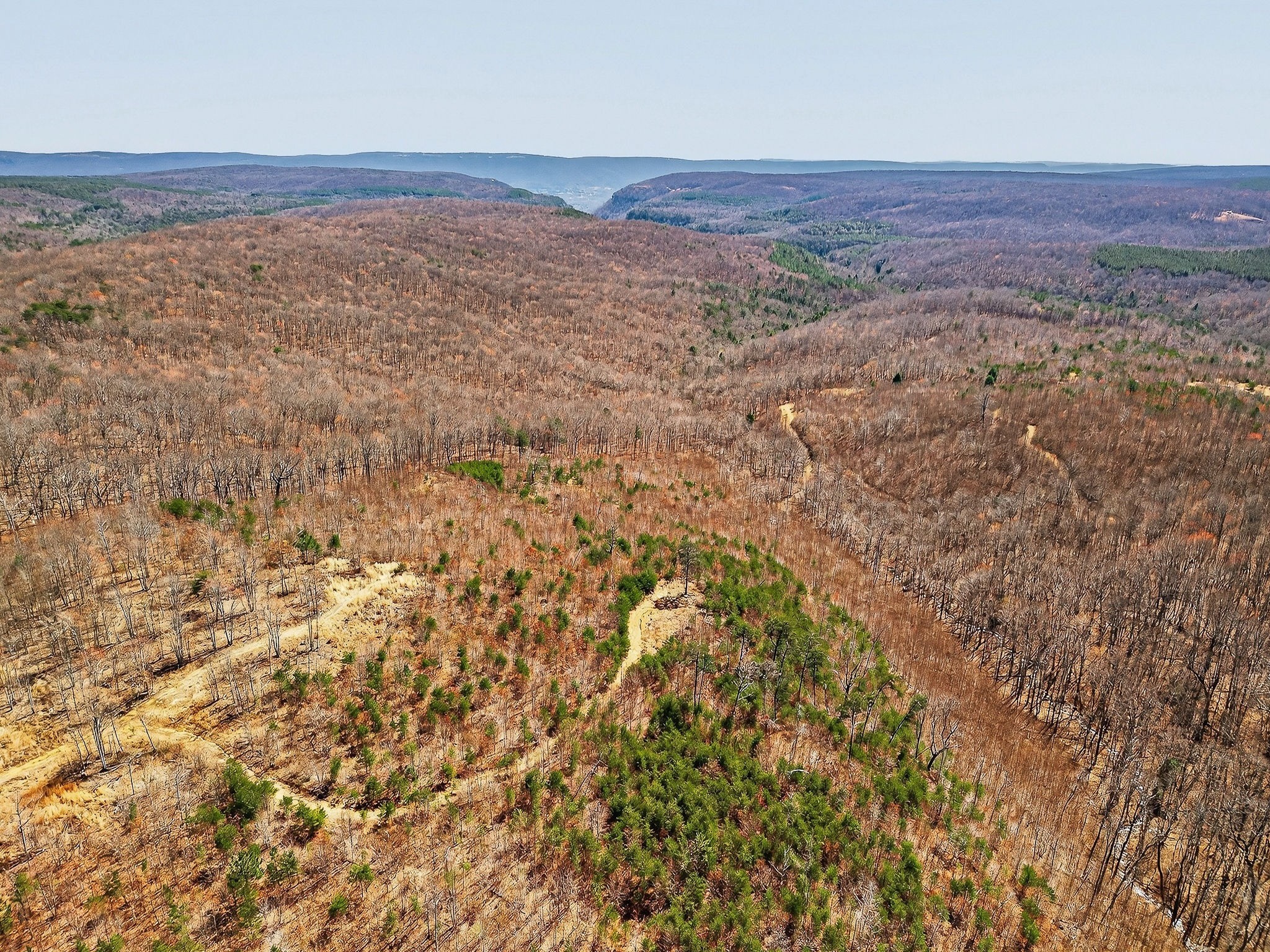 253 Daus Mountain Road Palmer, TN 37365 - Photo 19 of 72