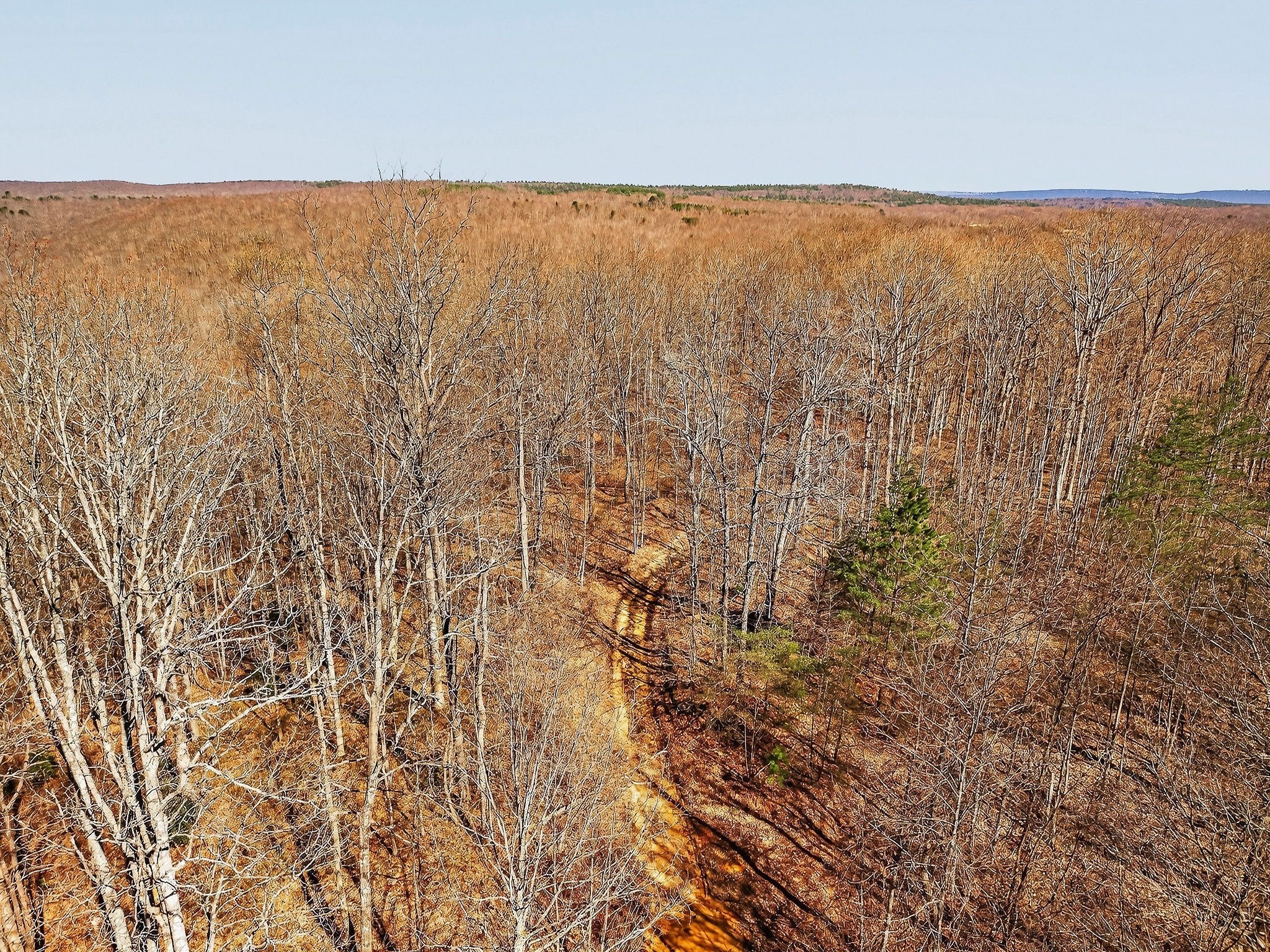 253 Daus Mountain Road Palmer, TN 37365 - Photo 2 of 72 a view of an ocean