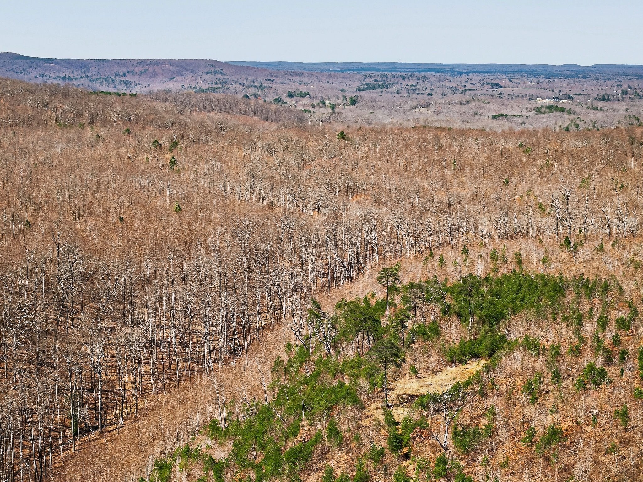 253 Daus Mountain Road Palmer, TN 37365 - Photo 21 of 72