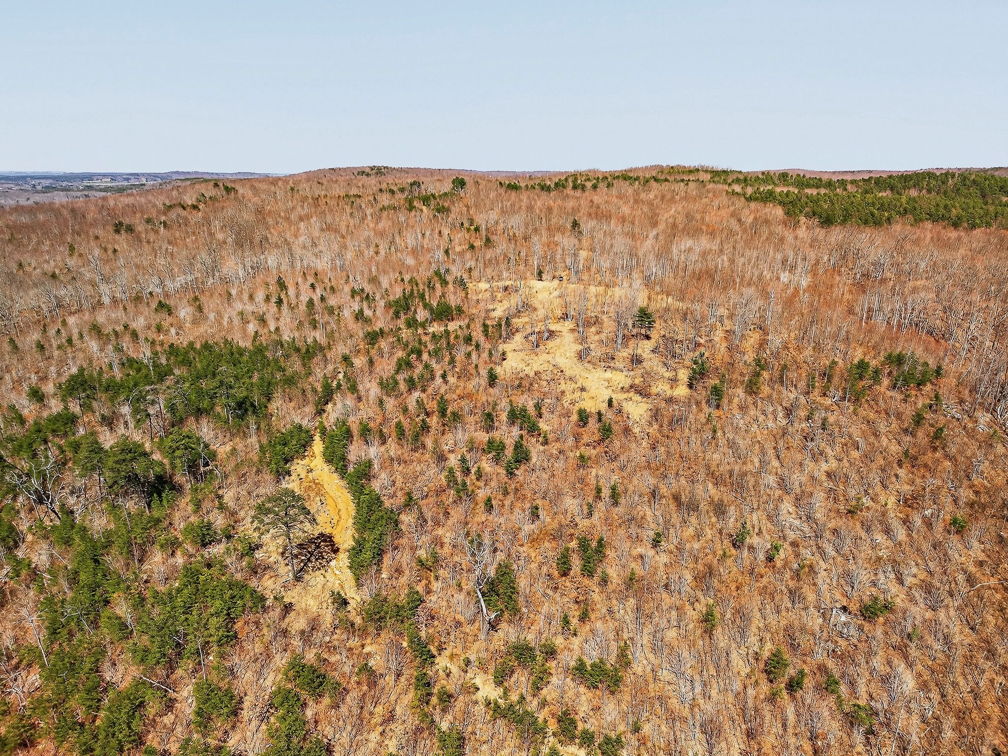 253 Daus Mountain Road Palmer, TN 37365 - Photo 23 of 72 a view of ocean and green space