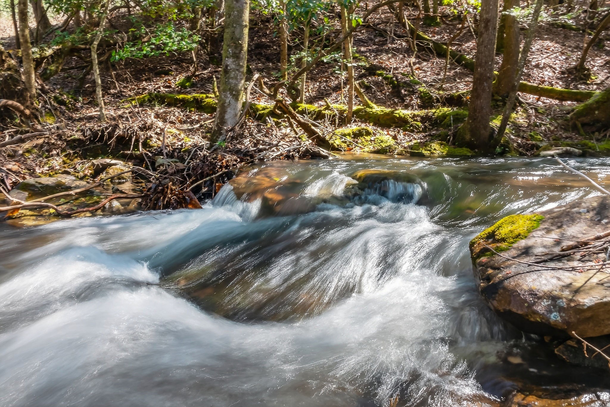 253 Daus Mountain Road Palmer, TN 37365 - Photo 25 of 72
