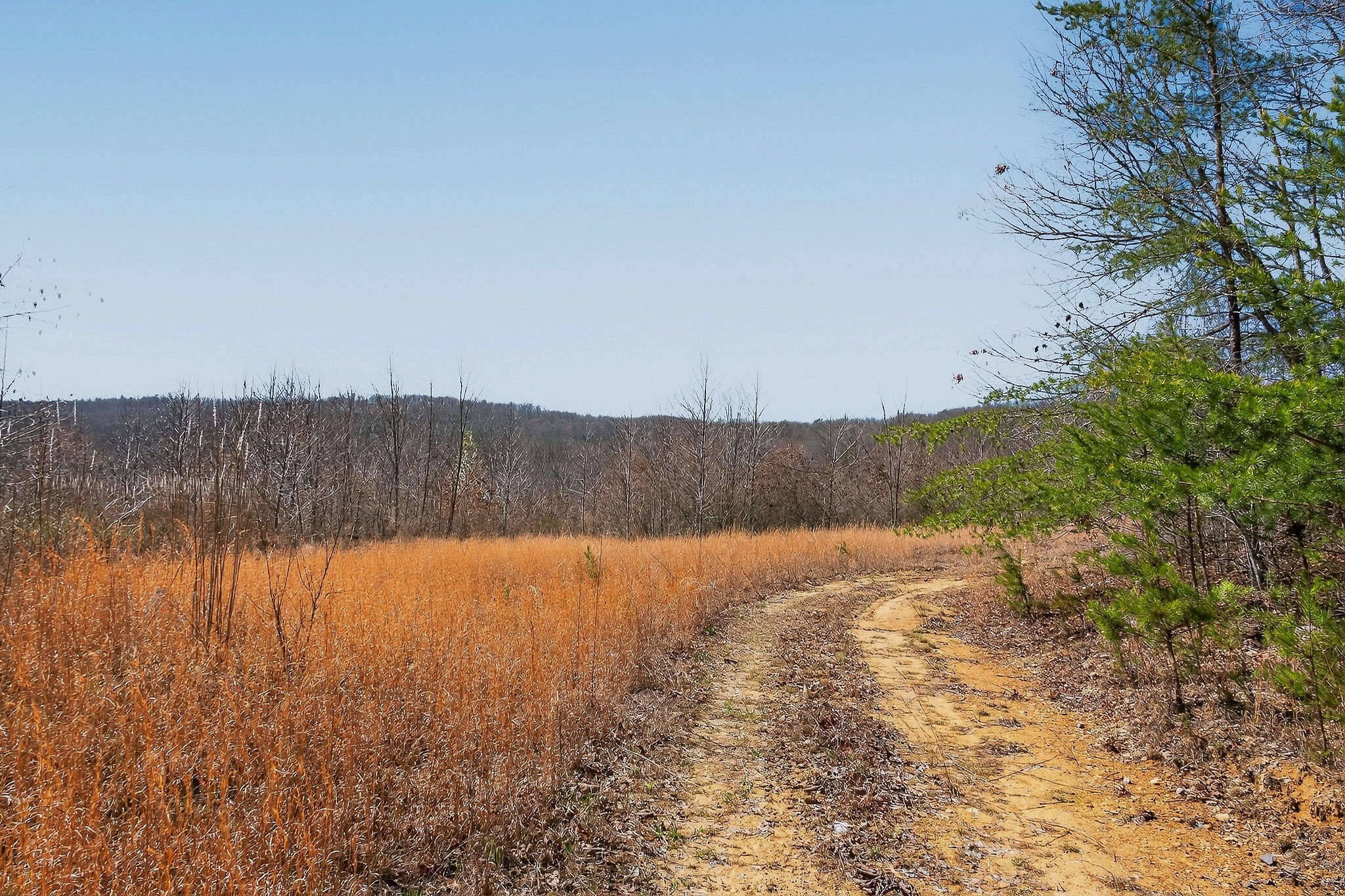 253 Daus Mountain Road Palmer, TN 37365 - Photo 26 of 72 a view of an ocean