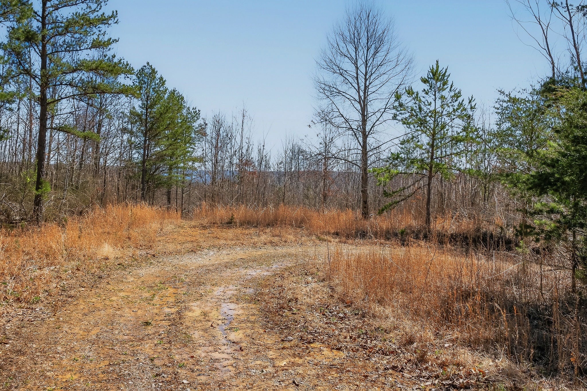 253 Daus Mountain Road Palmer, TN 37365 - Photo 28 of 72 a view of a lake view