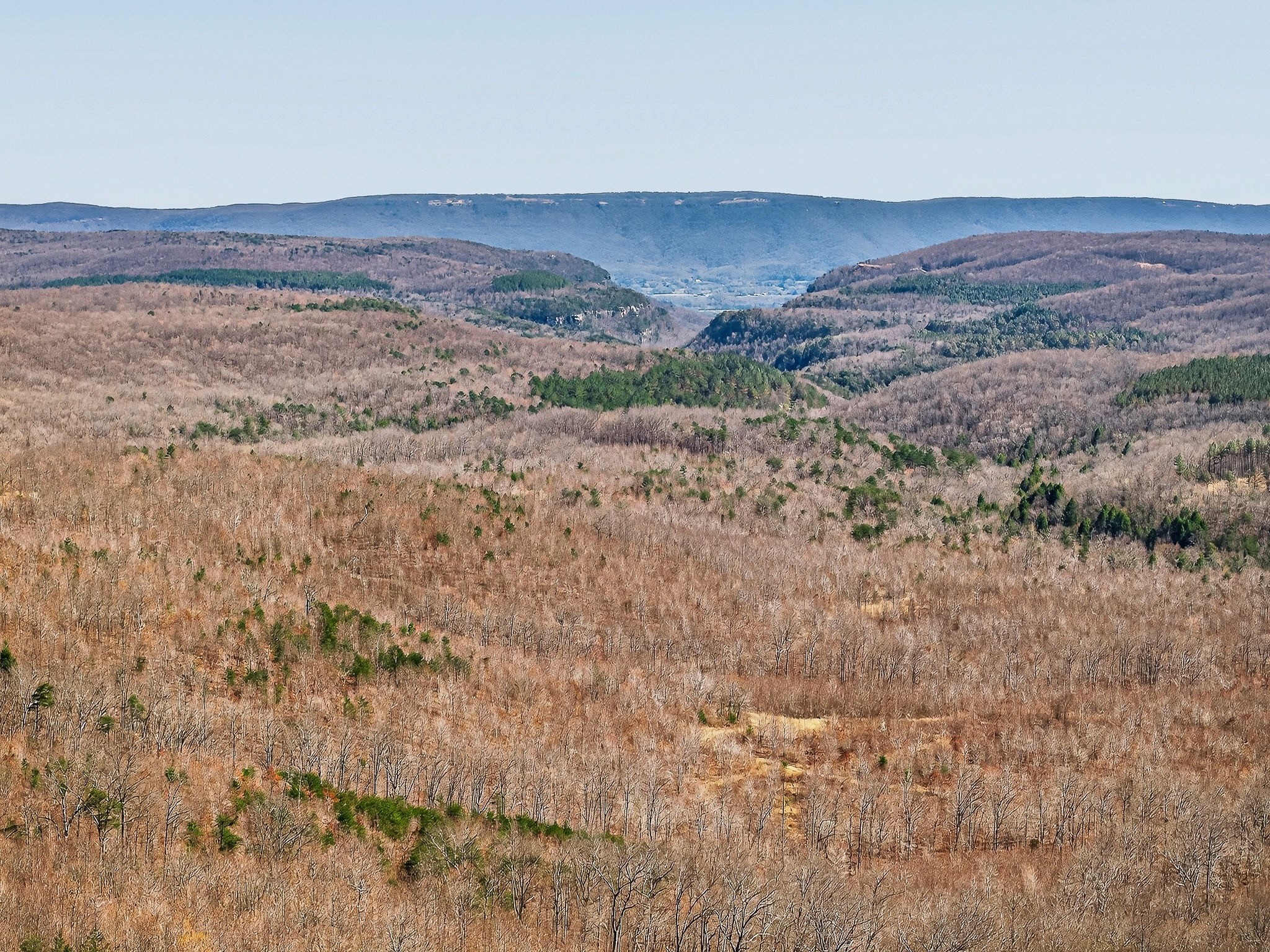 253 Daus Mountain Road Palmer, TN 37365 - Photo 3 of 72 a view of mountain and an ocean