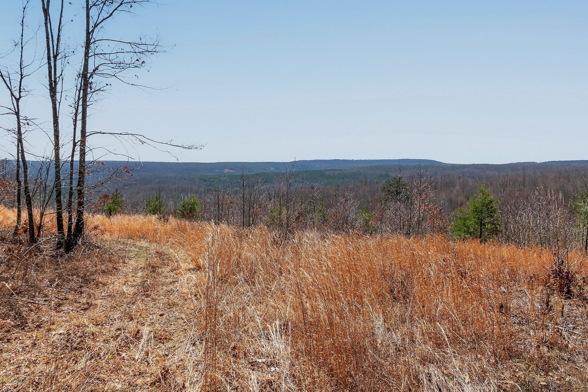 253 Daus Mountain Road Palmer, TN 37365 - Photo 32 of 72 a view of a lake