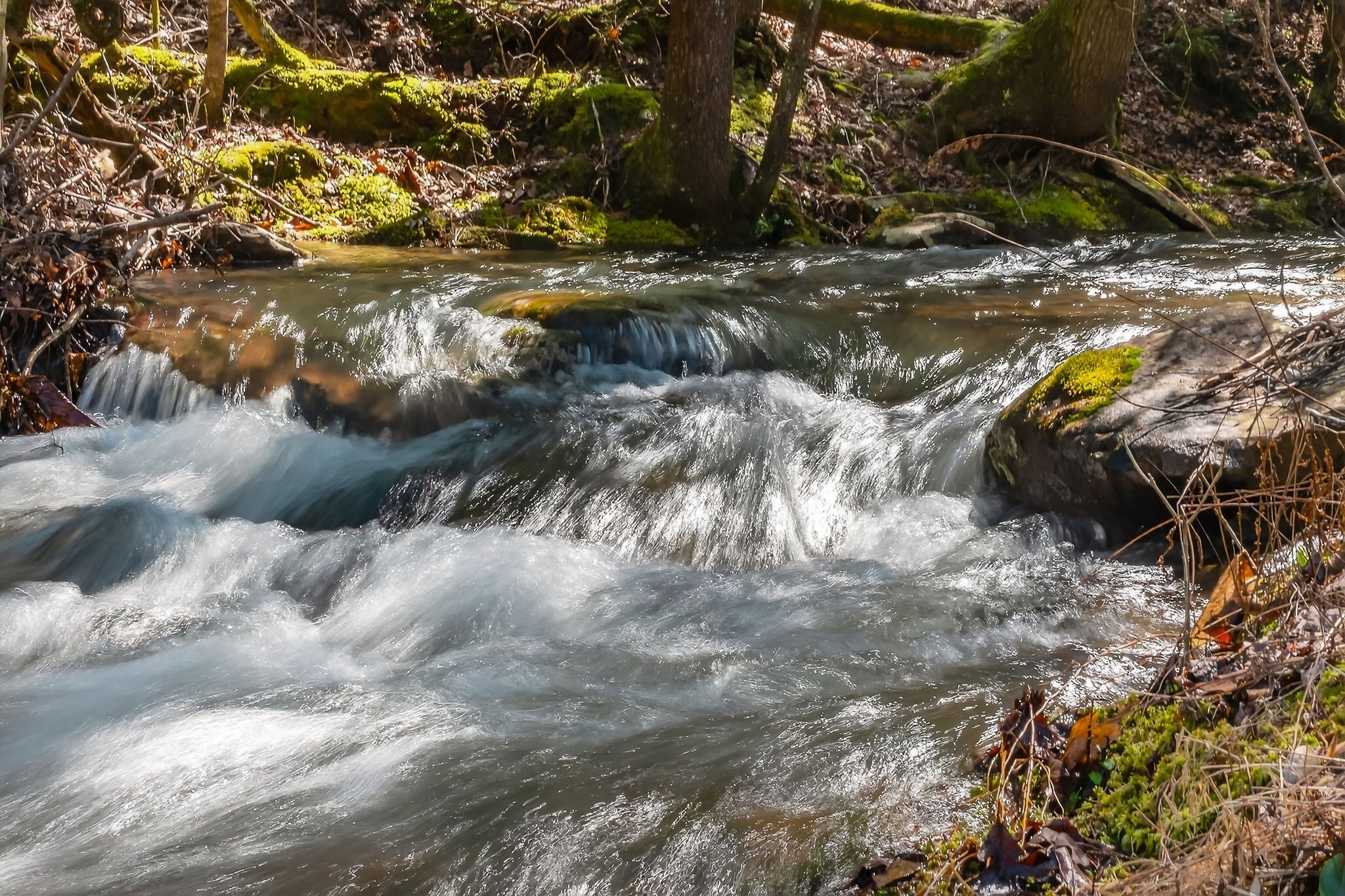 253 Daus Mountain Road Palmer, TN 37365 - Photo 33 of 72