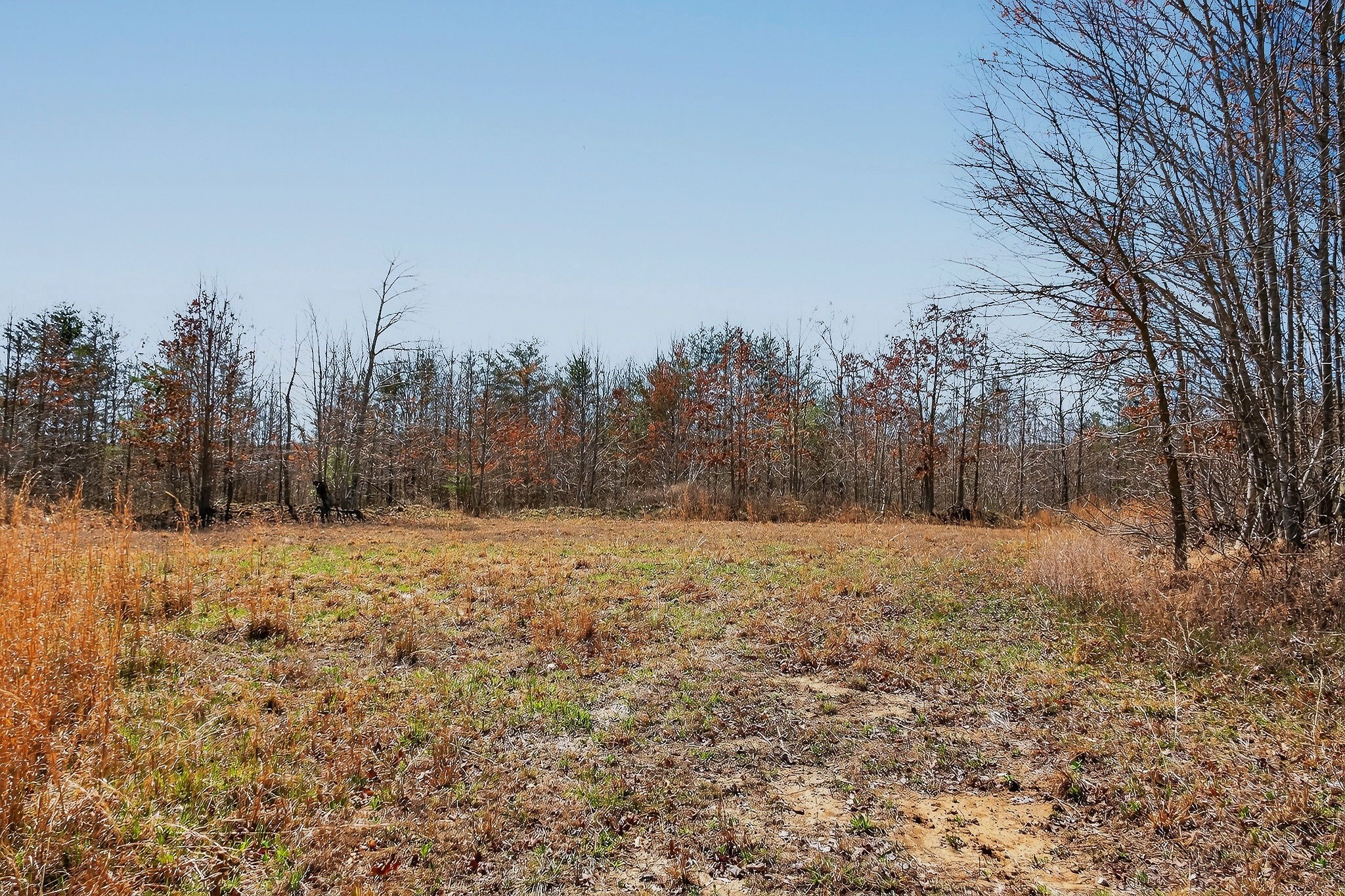 253 Daus Mountain Road Palmer, TN 37365 - Photo 34 of 72