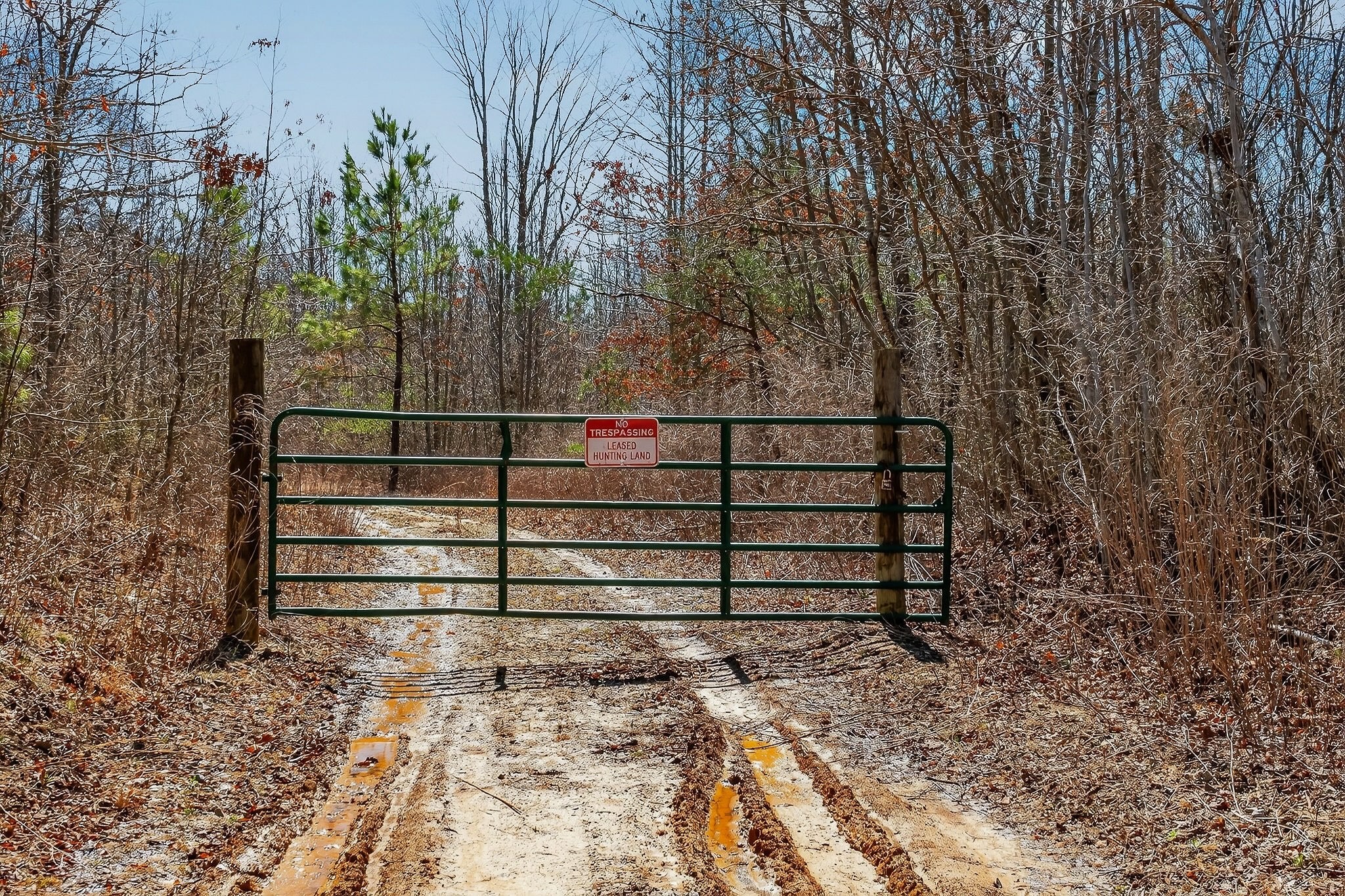 253 Daus Mountain Road Palmer, TN 37365 - Photo 48 of 72