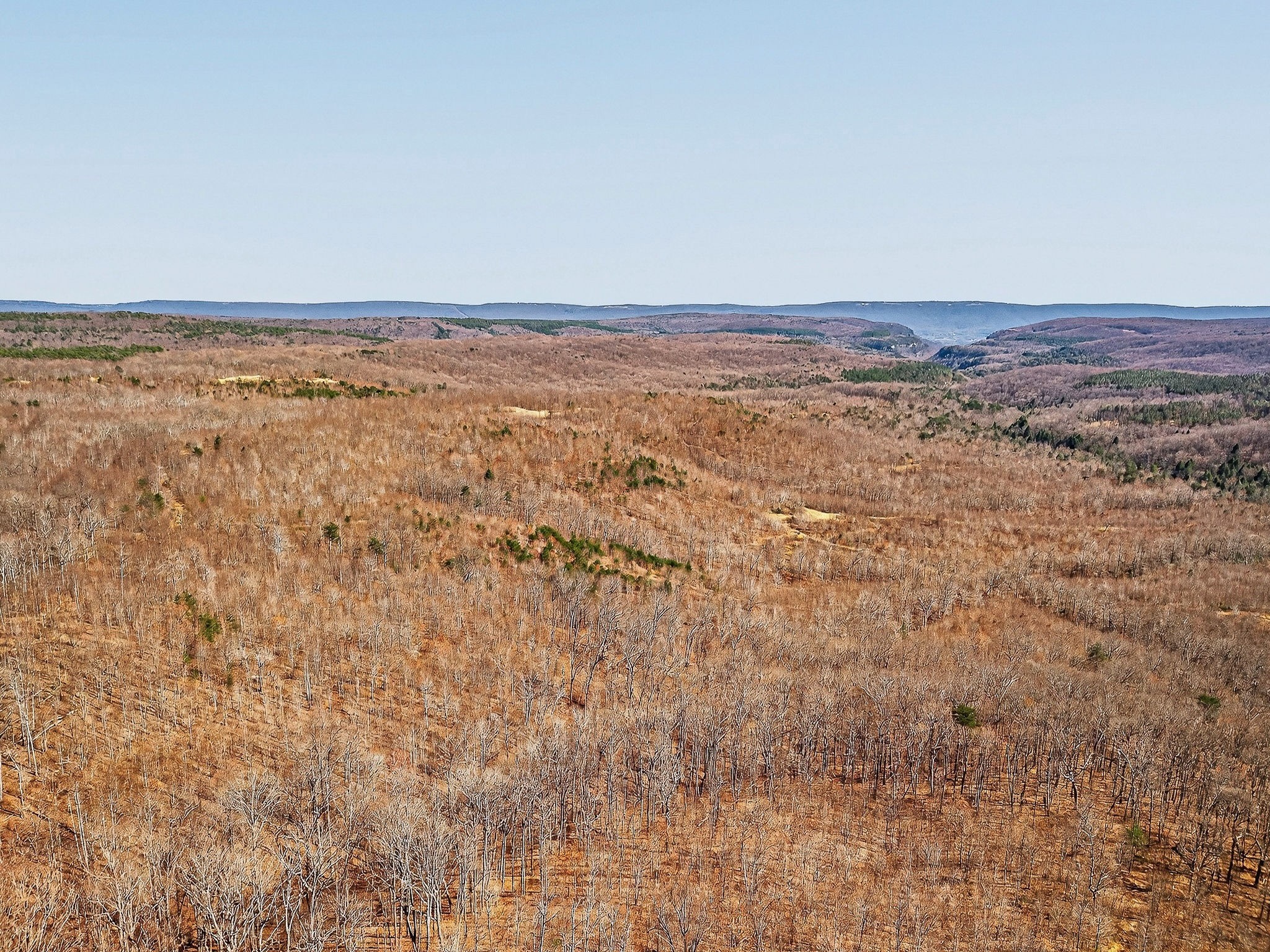 253 Daus Mountain Road Palmer, TN 37365 - Photo 5 of 72 a view of an ocean