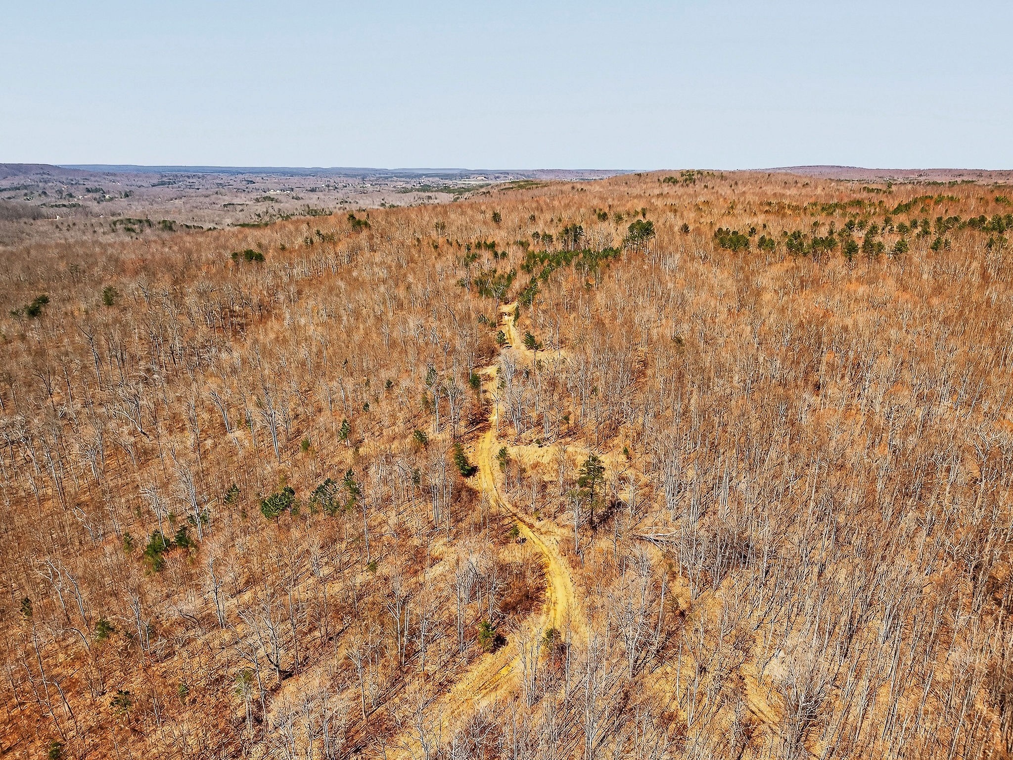 253 Daus Mountain Road Palmer, TN 37365 - Photo 51 of 72 a view of an ocean