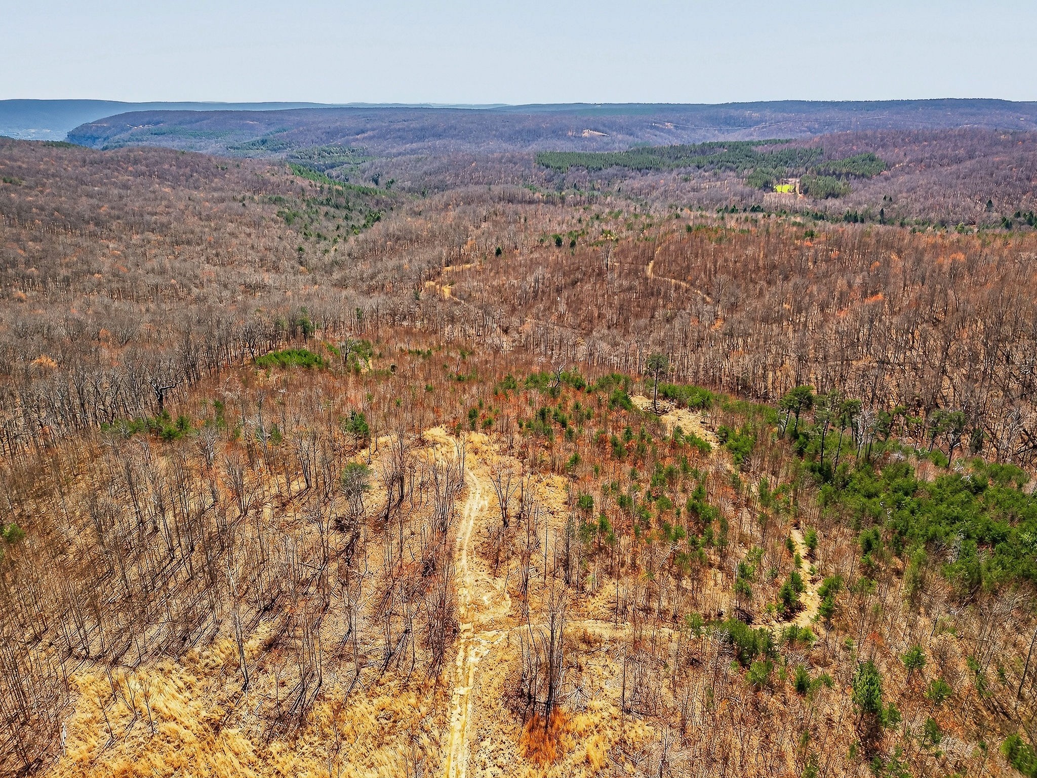 253 Daus Mountain Road Palmer, TN 37365 - Photo 55 of 72 a view of city and mountain