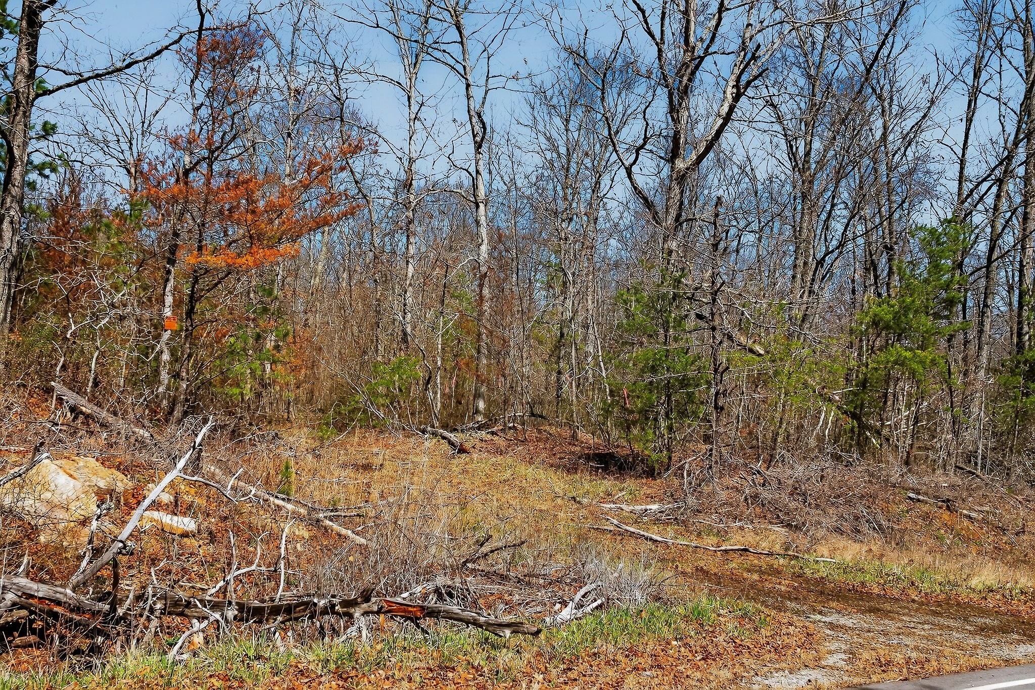 253 Daus Mountain Road Palmer, TN 37365 - Photo 57 of 72 a view of wooden fence of a house