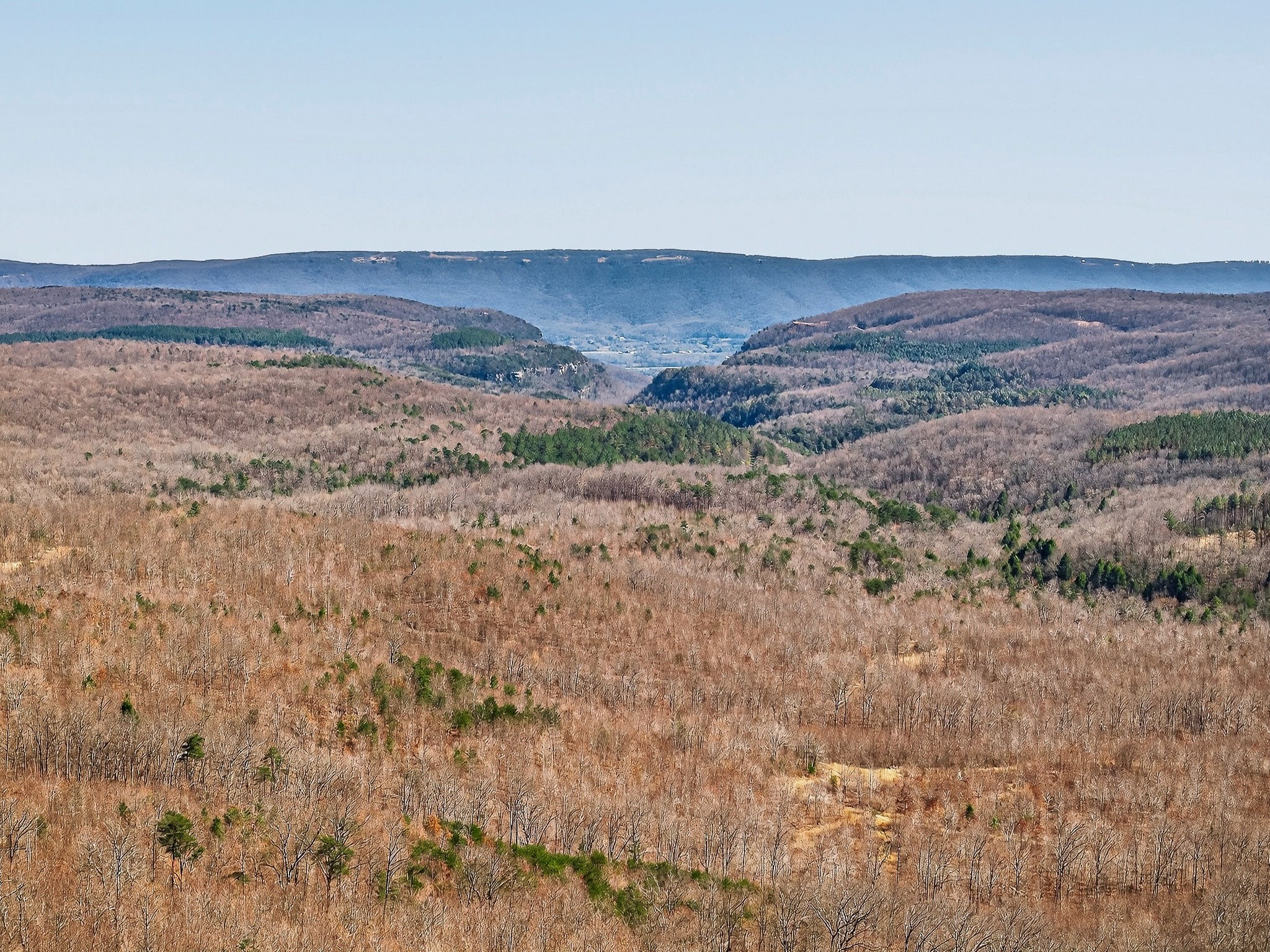 253 Daus Mountain Road Palmer, TN 37365 - Photo 59 of 72