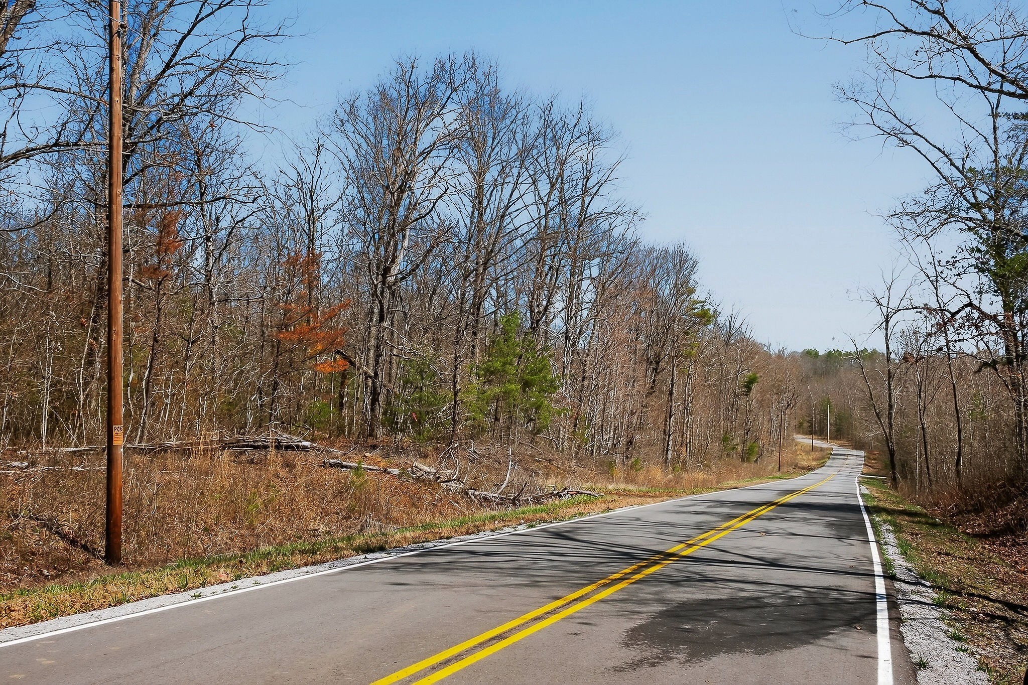 253 Daus Mountain Road Palmer, TN 37365 - Photo 60 of 72 a view of backyard space and trees
