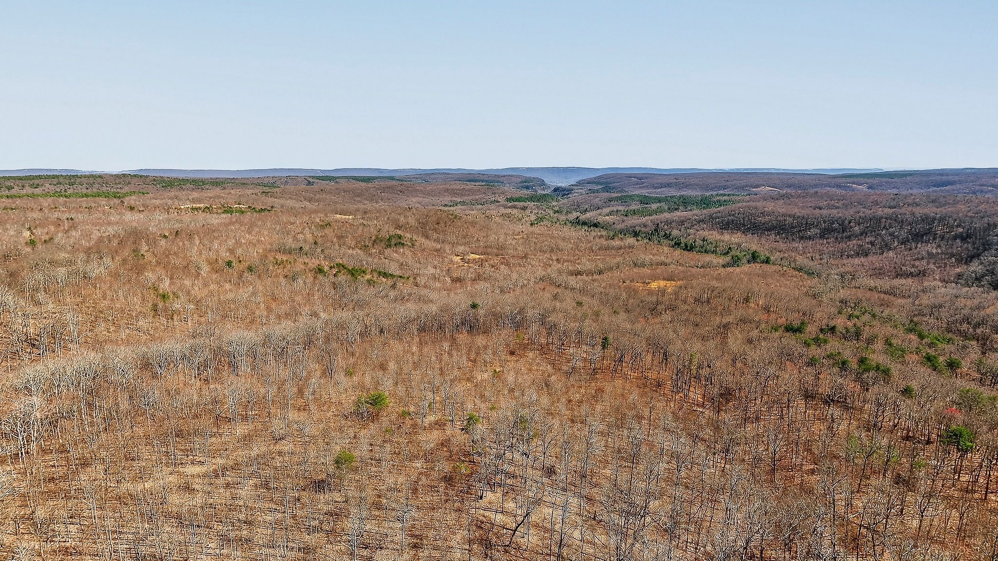 253 Daus Mountain Road Palmer, TN 37365 - Photo 6 of 72