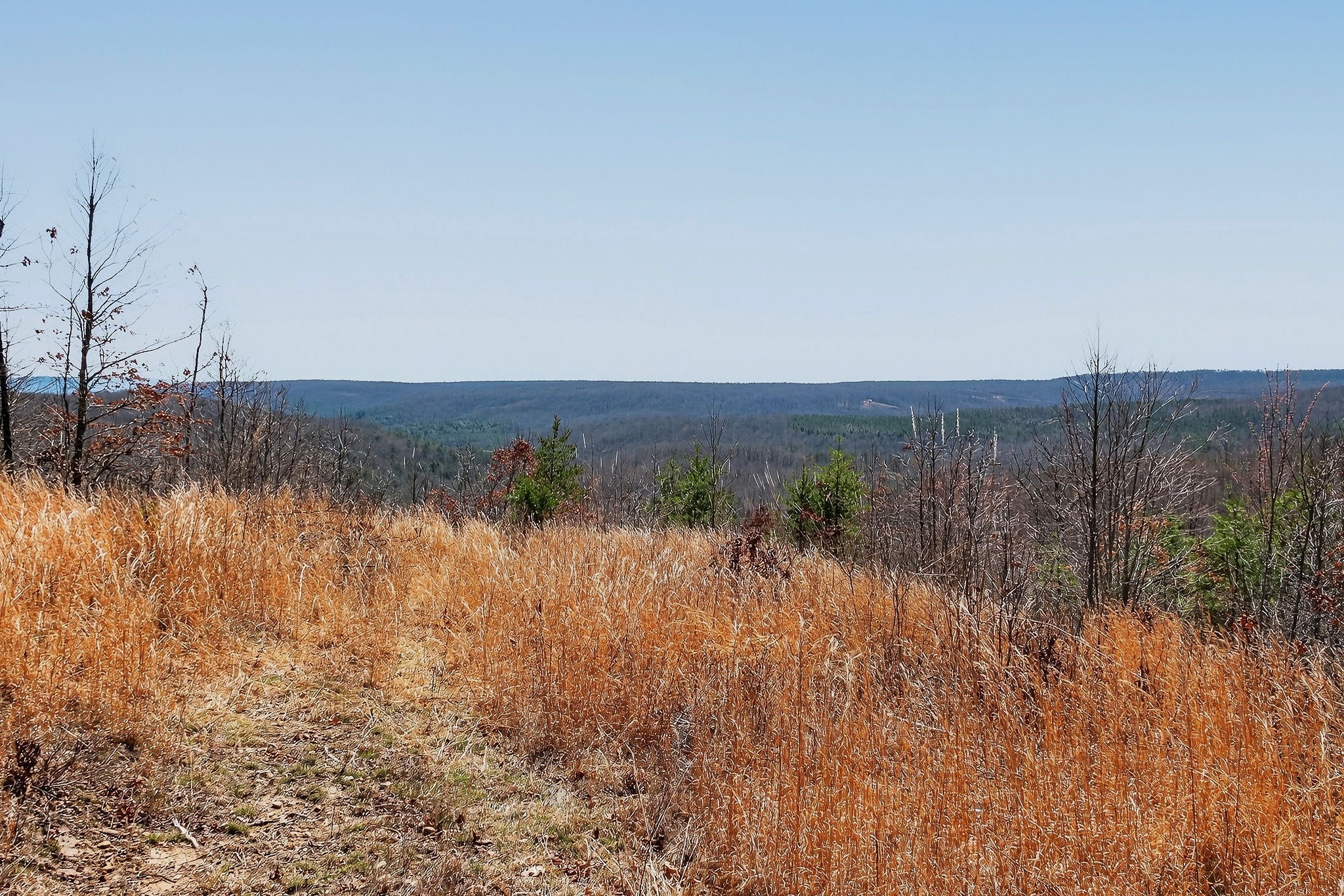 253 Daus Mountain Road Palmer, TN 37365 - Photo 62 of 72 a view of a lake
