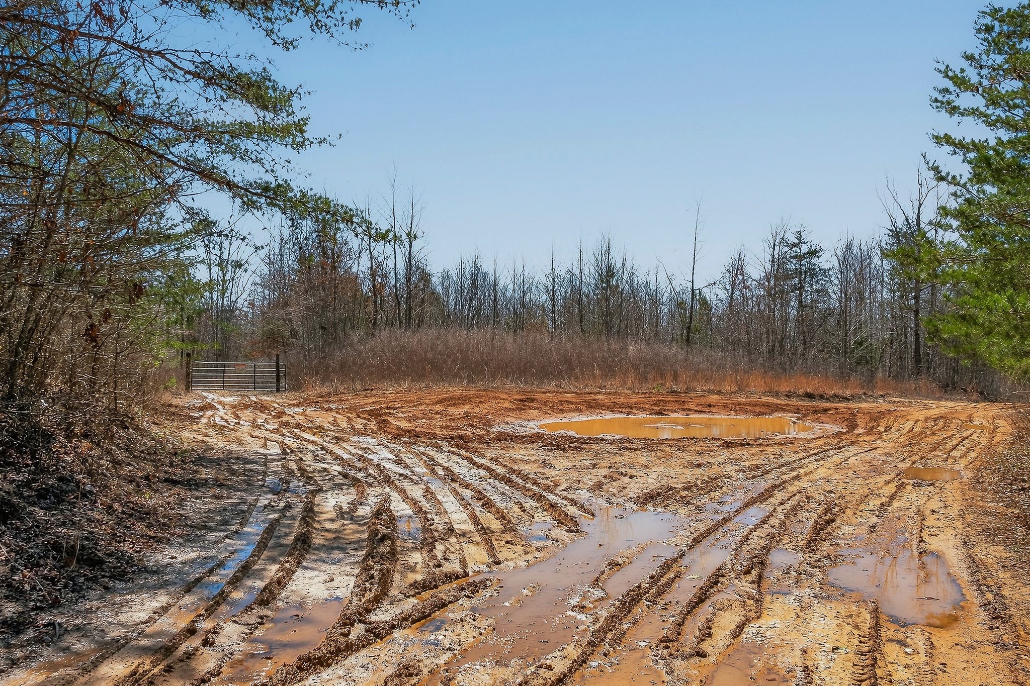 253 Daus Mountain Road Palmer, TN 37365 - Photo 63 of 72