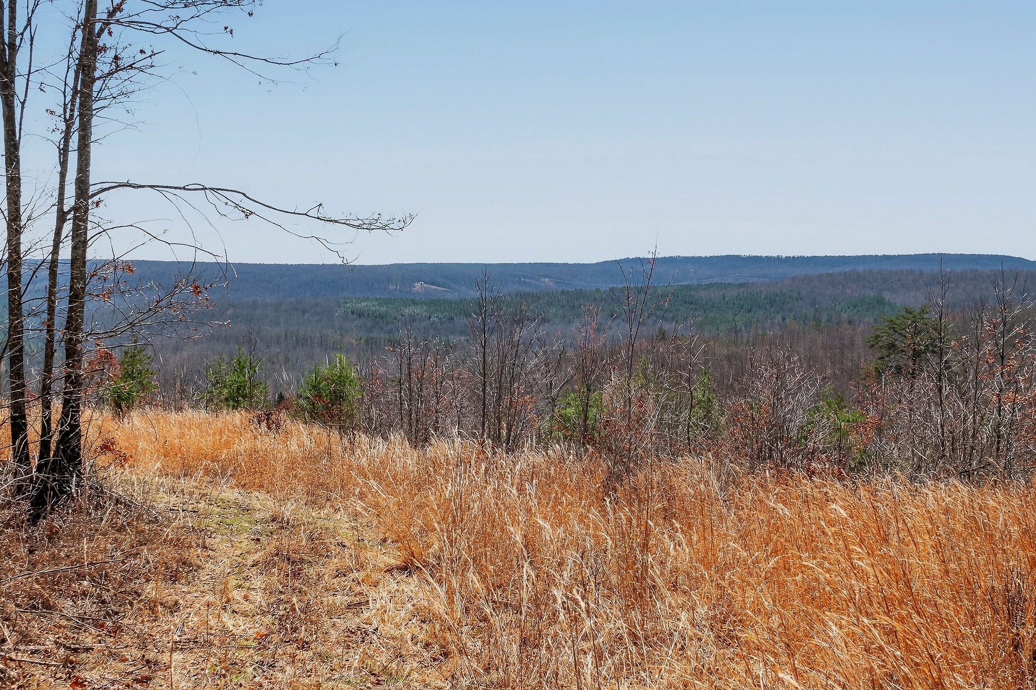 253 Daus Mountain Road Palmer, TN 37365 - Photo 65 of 72 a view of a lake