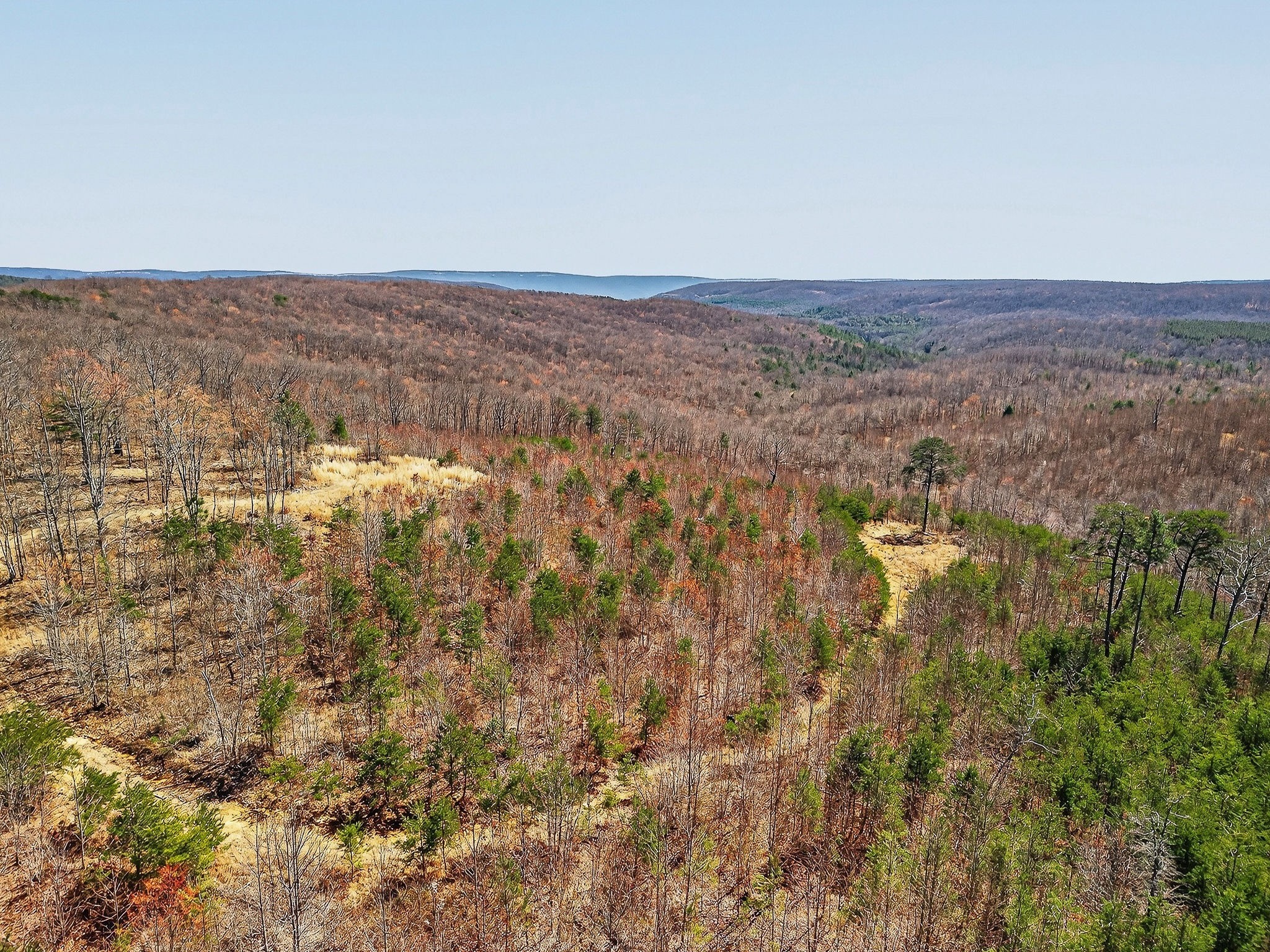 253 Daus Mountain Road Palmer, TN 37365 - Photo 68 of 72 an aerial view of residential house and green space