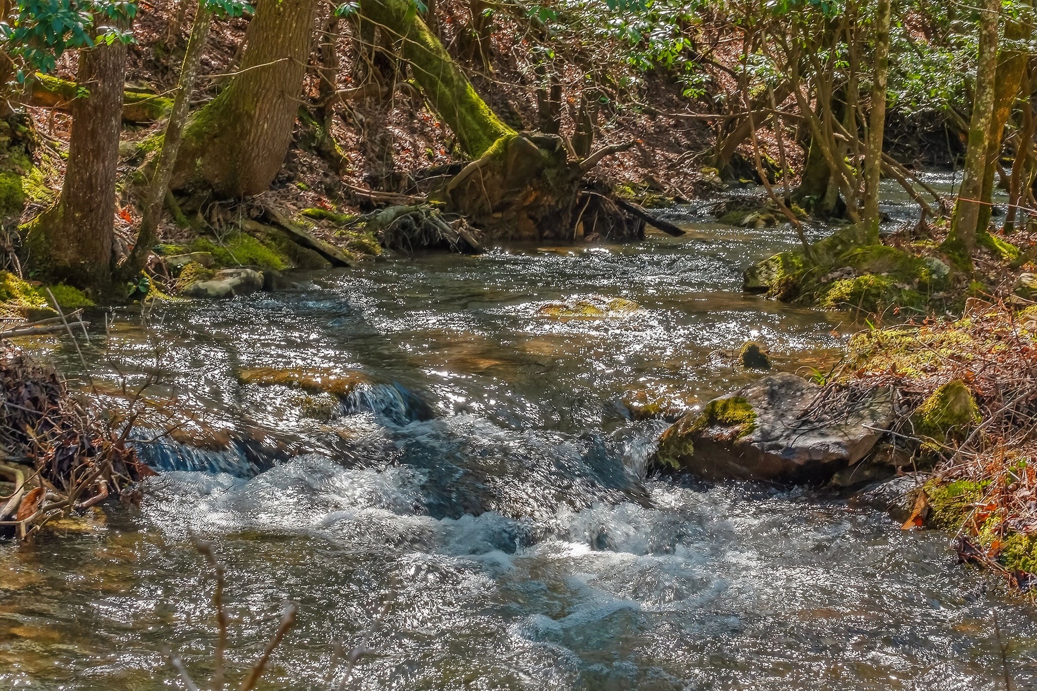 253 Daus Mountain Road Palmer, TN 37365 - Photo 70 of 72