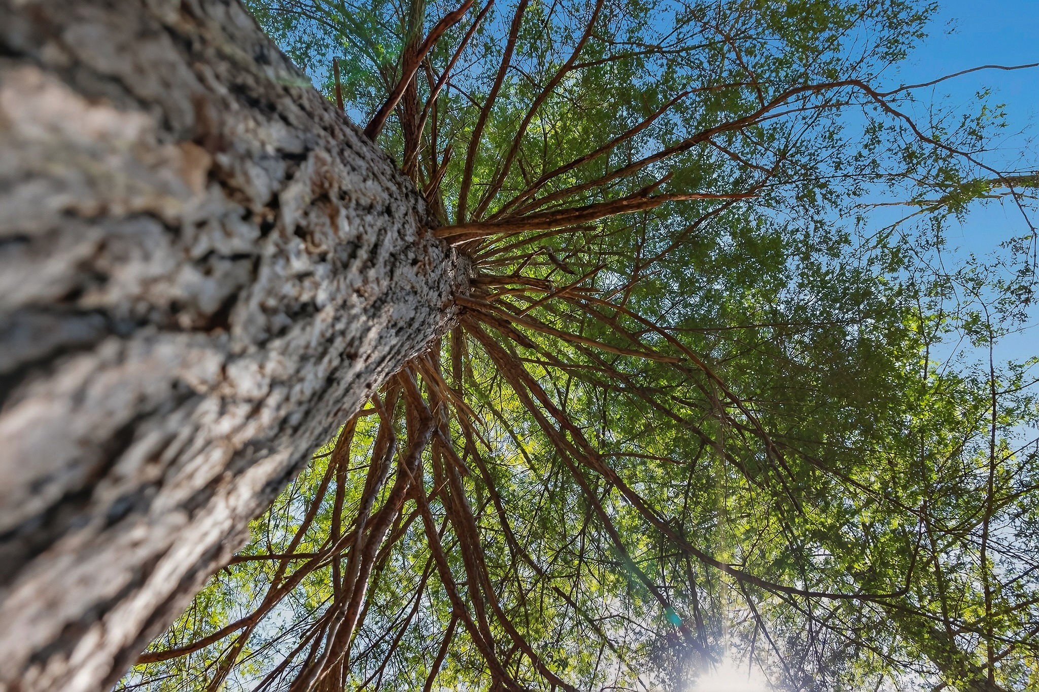 253 Daus Mountain Road Palmer, TN 37365 - Photo 71 of 72