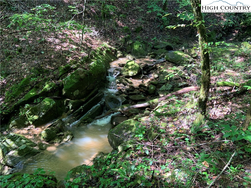 Rapids Run Deep Gap, NC 28618 - Photo 1 of 14 Gallery Image 1